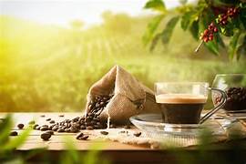 Health Benefits of Organic Coffee